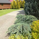 Pod Bocianim Gniazdem (3)