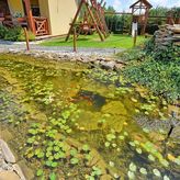 Całoroczne domki apartamentowe Pod Lipą (4)