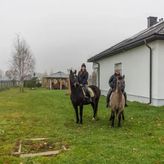 Agroturystyka Mustang (3)