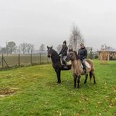 Agroturystyka Mustang (4)