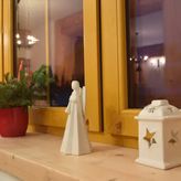 Willa Siuster Comfort (3)