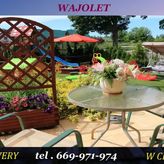 Pokoje Gościnne Wajolet (4)