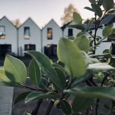 Domki apartamentowe Laba (2)