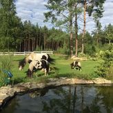 DolcevitaPodlasie (4)