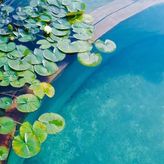 Lessowe Wzgórze (4)