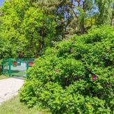 Domki Bliźniaki Dla Rodzin (Akceptujemy Niegroźne Pieski) (3)