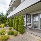 Zielone Podwórko (2)