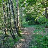 Domki nad Kukówkiem (2)