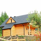 Niedźwiedziówka (4)