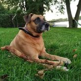 Apartamenty nad jeziorem „Odpocznij” (4)