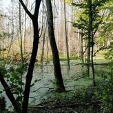 Bukowy Jar Gospodarstwo Agroturystyczne (3)