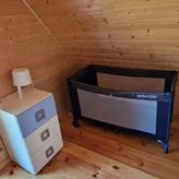 Uśmiechnięty Kaktus (4)