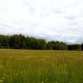 Siedlisko Sołtysówka (2)