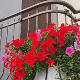 Pokoje Gościnne J. Jasińska (3)