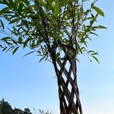 Zacisze w Pławnie (3)