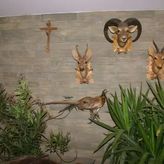 Gospodarstwo Agroturystyczne Leśny Dwór (2)