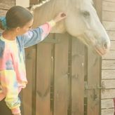 Pod Dębami-domki,pokoje,nauka jazdy konnej. (4)