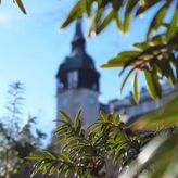 Apartament FeliNa (4)