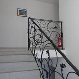 WILLA NORTH STAR (4)