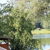 Domki Nad Jeziorem w Karłowicach (2)