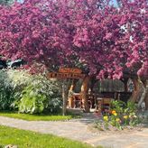 Agroturystyka Mirabelkowe Zacisze (2)