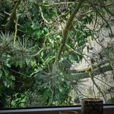 Dom Gościnny Górska Poziomka (4)