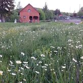 Domek nad potokiem (4)