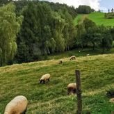 Domki w Górnym Końcu TERKA (4)