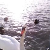 Domki na wodzie "Arka" z rowerem wodnym, parkingiem, 300 metrów do Morza ! Centrum Mielna (4)