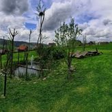 Domki wypoczynkowe Chatka Pod Laskiem (2)