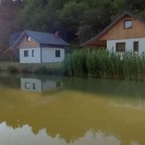 Domki wypoczynkowe Oaza w Bieszczadach z łowiskiem (3)