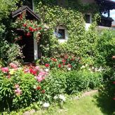 Pokoje Gościnne w Centrum (3)