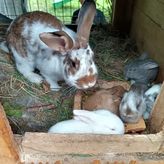 Agroturystyka U Zosi (3)