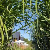 Kalinowa14 domki premium (4)