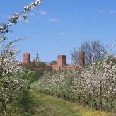 Agroturystyka Jabłonka (3)