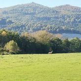 Dom Wypoczynkowy Leśniczówka 18 Węgierska Górka (4)