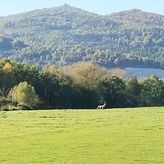 Dom Wypoczynkowy Leśniczówka 18 Węgierska Górka (2)