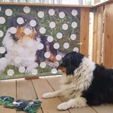 Agroturystyka-Zagroda Studzienno (2)