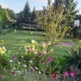 Domki Port Jantar (4)