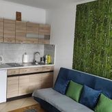 Apartament Zielony. (4)