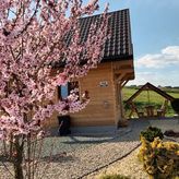 Motylowe Wzgórze Zawóz (4)