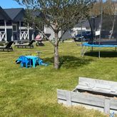 Domki letniskowe Pod Sosenką (4)