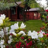 Domki Letniskowe W Ogrodzie (3)