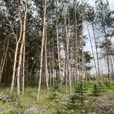 Domek u Wesołego (2)