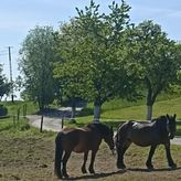 Domek na Polance (2)