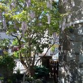 Dom Wczasowy Przystań (4)