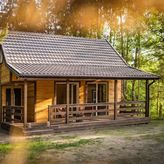 Zagajnik Białowieża (4)