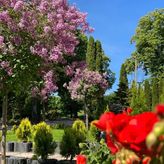 Apartamenty Arkadia (4)