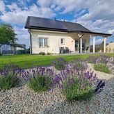 LAWENDOWY ZAKĄTEK POD ŚNIEŻKĄ (2)