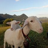 Agroturystyka Pod Zamczyskiem (3)